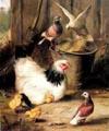unknow artist Hen chicken and pigeon Norge oil painting art
